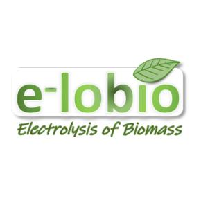 Read more about the article E-lobio : a European project to produce hydrogen from biomass